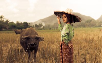 Edukasi Kesehatan Lingkungan: Peran Dinas Kesehatan Kabupaten Fakfak